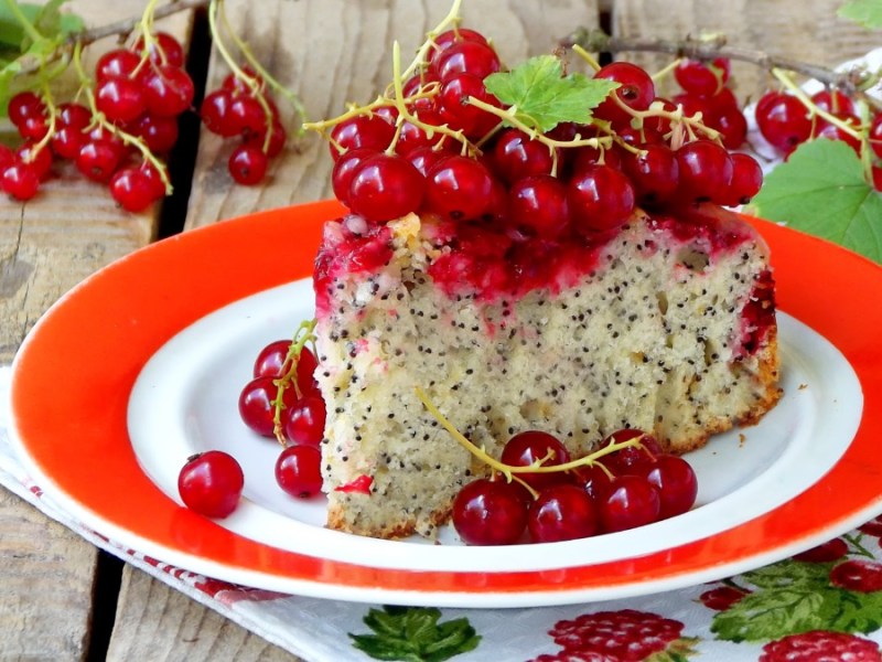 ein Stück Mohnkuchen mit Johannisbeeren auf einem Teller