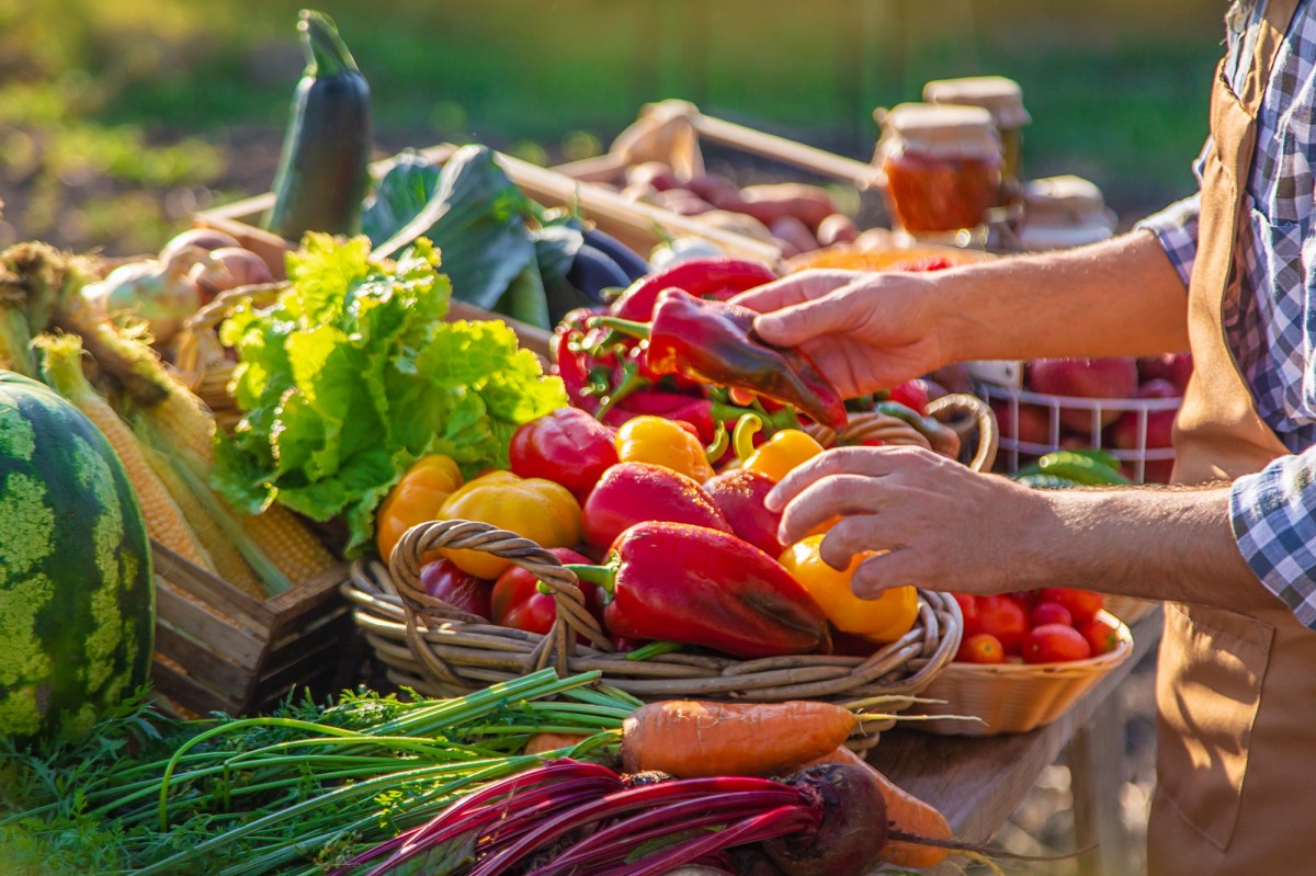 Obst und Gemüse richtig lagern: Frisches Obst und Gemüse wird auf dem Markt verkauft