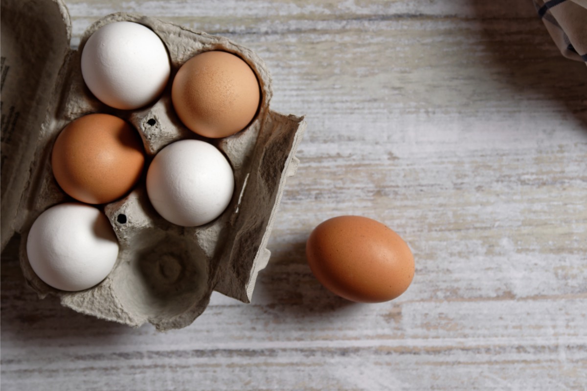 Jeden Tag Eier essen: Ein Eierkarton mit 5 weißen und braunen Eiern. Ein braunes Ei liet daneben.