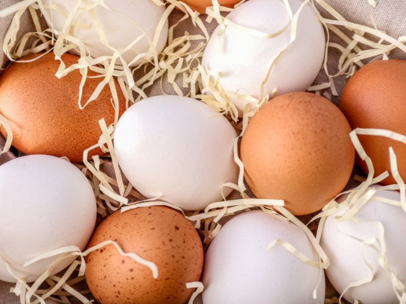 Unterschied braune und weiße Eier: Verschieden farbige Eier, von oben fotografiert.