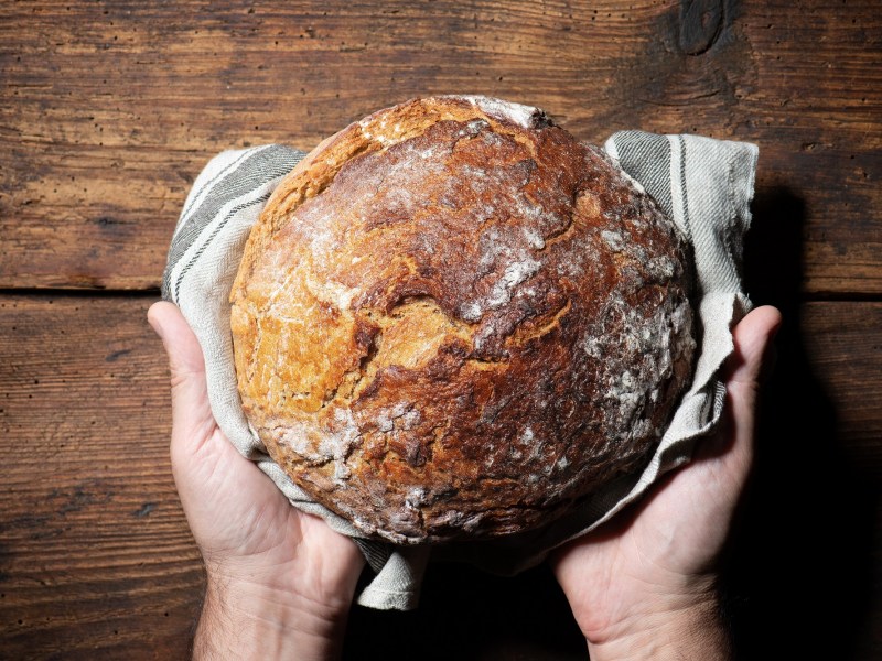 Altes Bort aufbacken: Zwei Hände halten einen Laib Brot