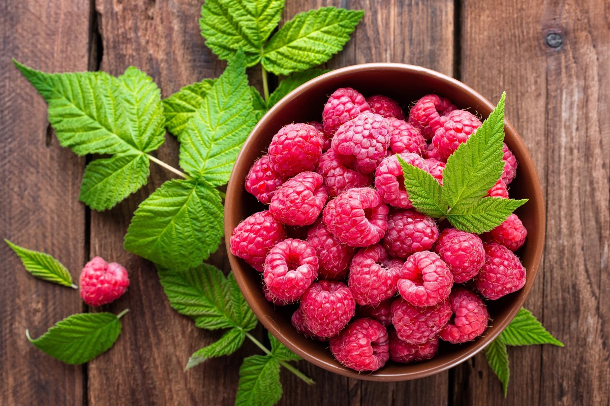 Himbeeren lagern: Eine Schale Himbeeren auf einem Holztisch. Drum herum sind Himbeerblätter drapiert.