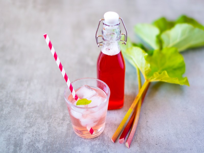 Flasche mit Rhabarber-Sirup, einem Glas Rhabarber-Limonade und Rhabarberstiel