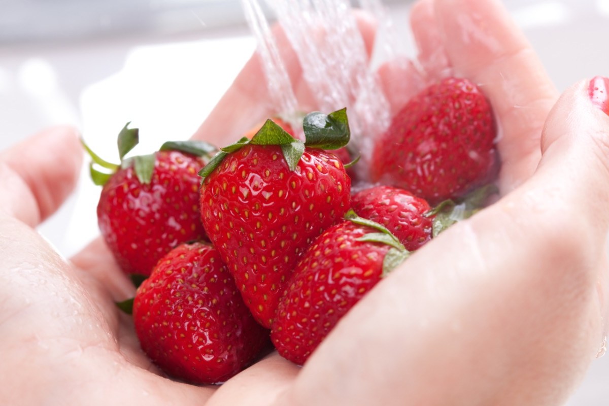 Erdbeeren mit Natron waschen: Erdbeeren werden in zwei Händen unter Wasserhahn gehalten.