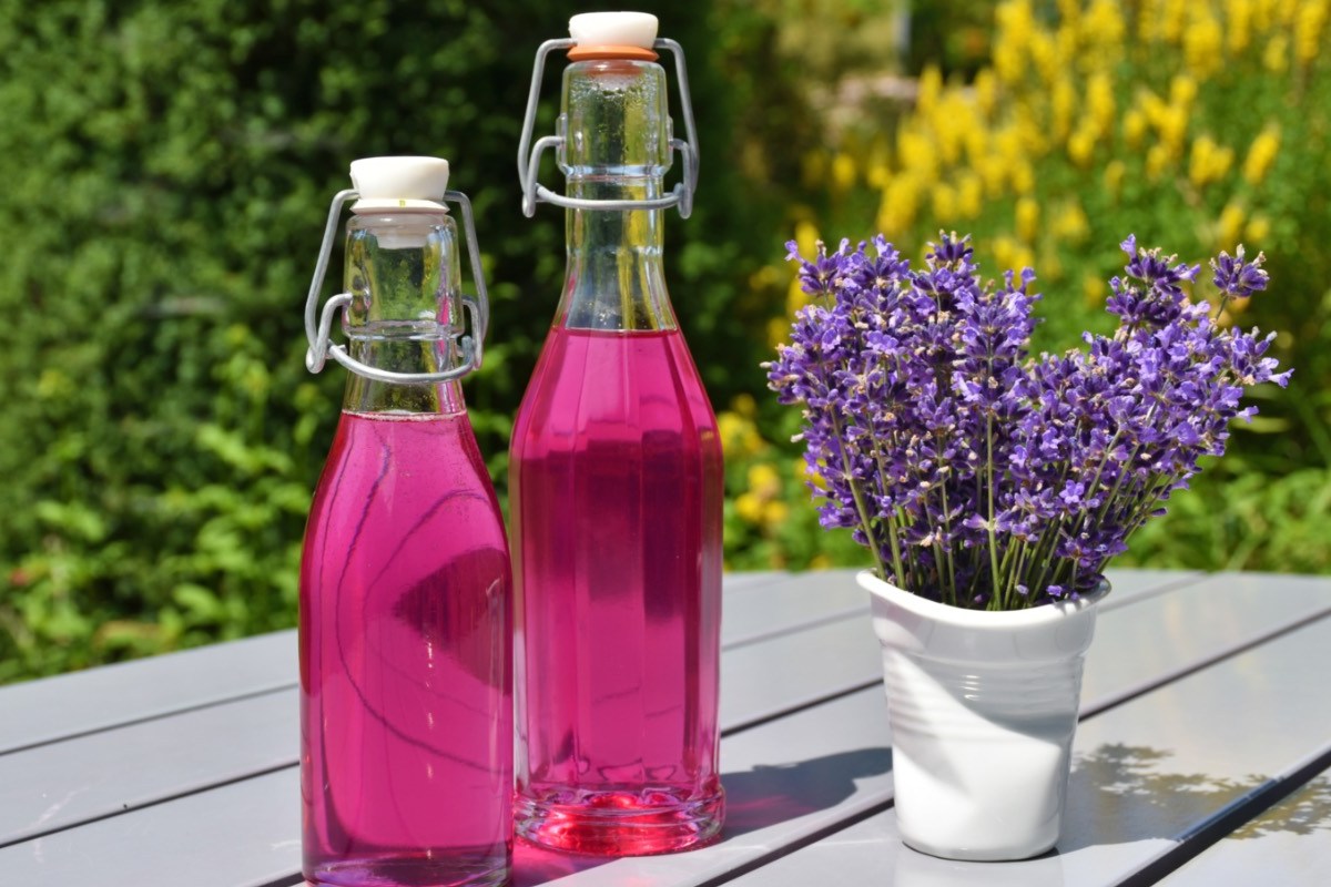 Zwei Flaschen Lavendelsirup neben einer Vase mit frischen Lavendelblüten.