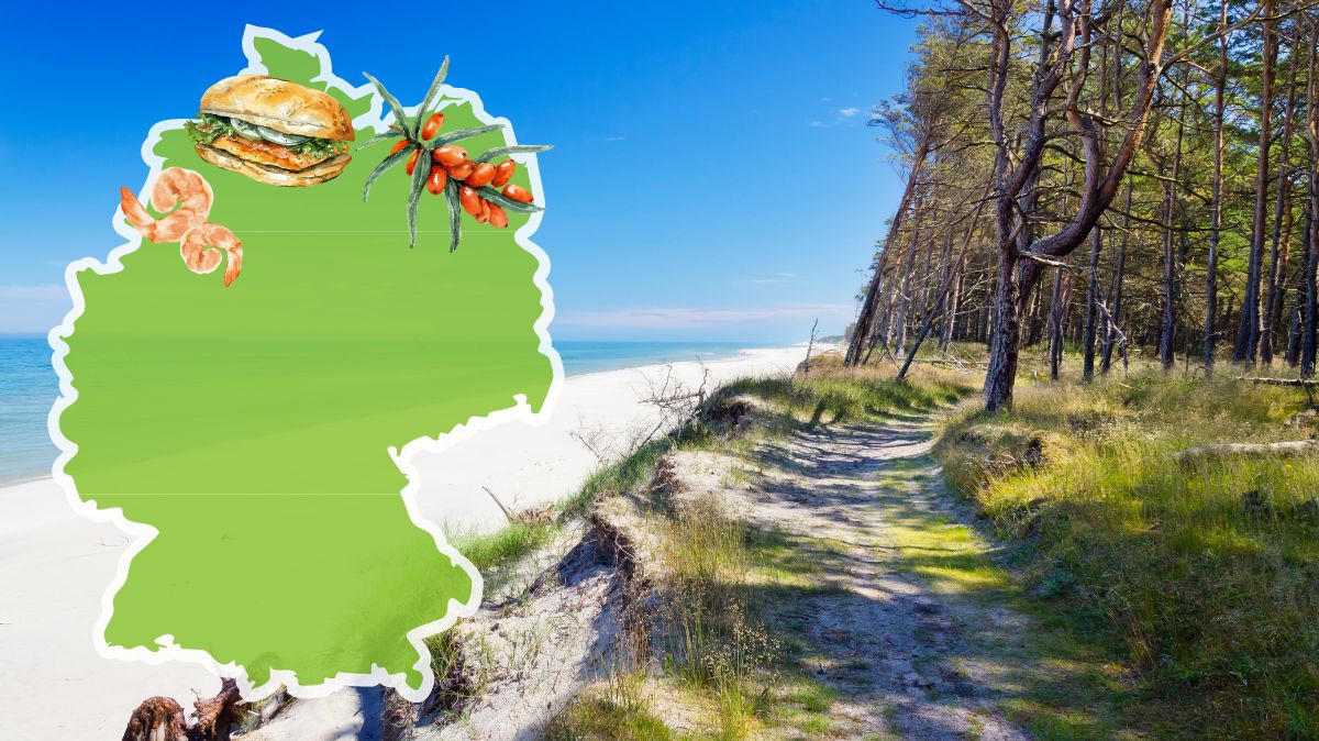 Norddeutsche Küche: Ein Strandweg auf Rügen. Daneben eine hellgrüne Deutschlandkarte mit Spezialitäten der Region: Sanddorn, Fischbrötchen und Krabben.