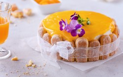 Eine Pfirsich-Maracuja-Torte mit Löffelbiskuits. Verziert mit einer Schleife und Blüten.