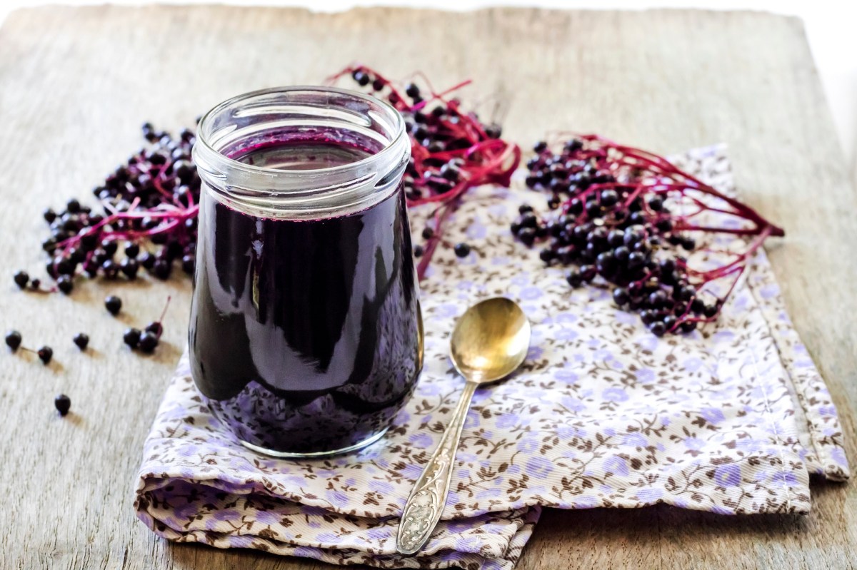 Glas Holunderbeeren-Marmelade