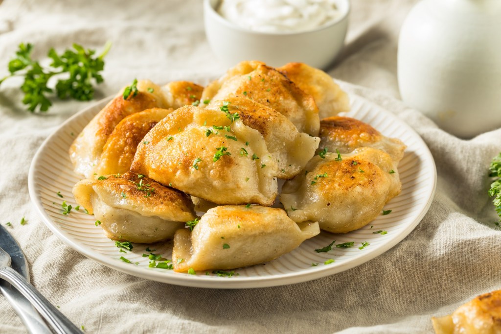 Pierogi mit Kohl-Kartoffel-Füllung: im Herbst genau das Richtige