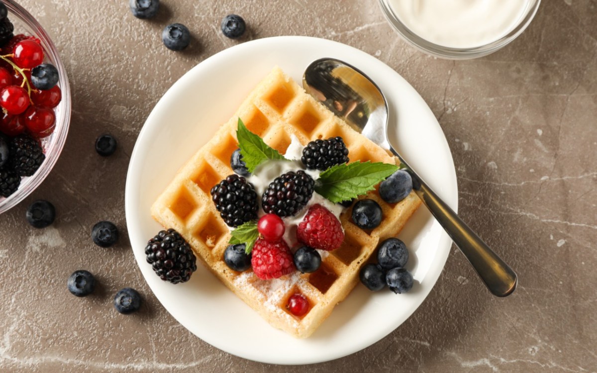 Eine KÃ¤sekuchenwaffel mit FrÃ¼chten, Puderzucker und Sahne auf einem Teller in der Draufsicht.